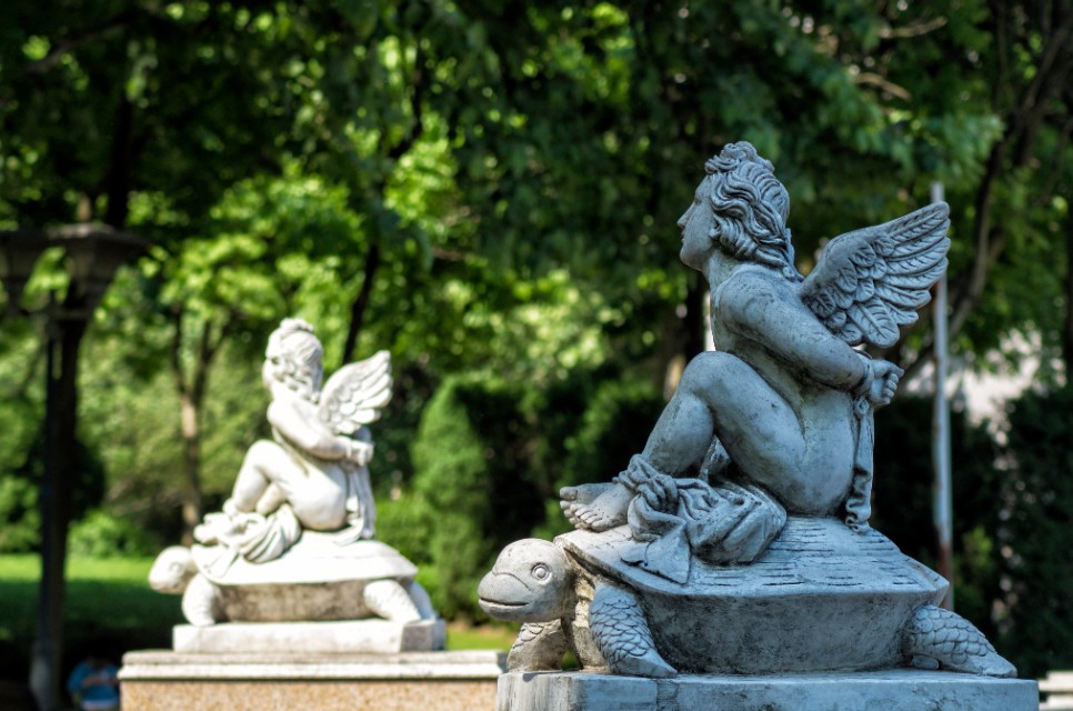 新手摄影入门必备攻略,新手摄影必背口诀