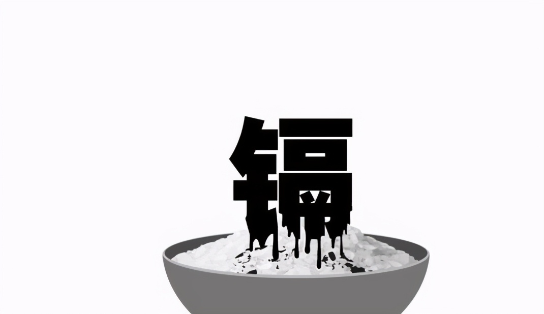 新电动车电池质量问题怎么解决,电动车电池为何越来越不耐用