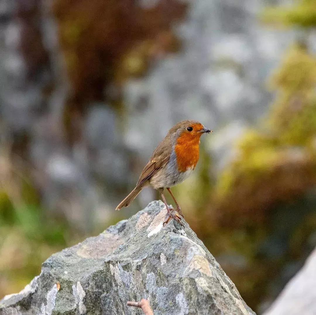 世界上唯一不允许结婚的国家,世界唯一一个不可以离婚的国家