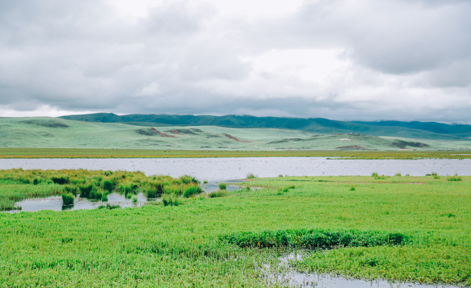 若尔盖5日游推荐,成都九寨沟黄龙若尔盖深度游