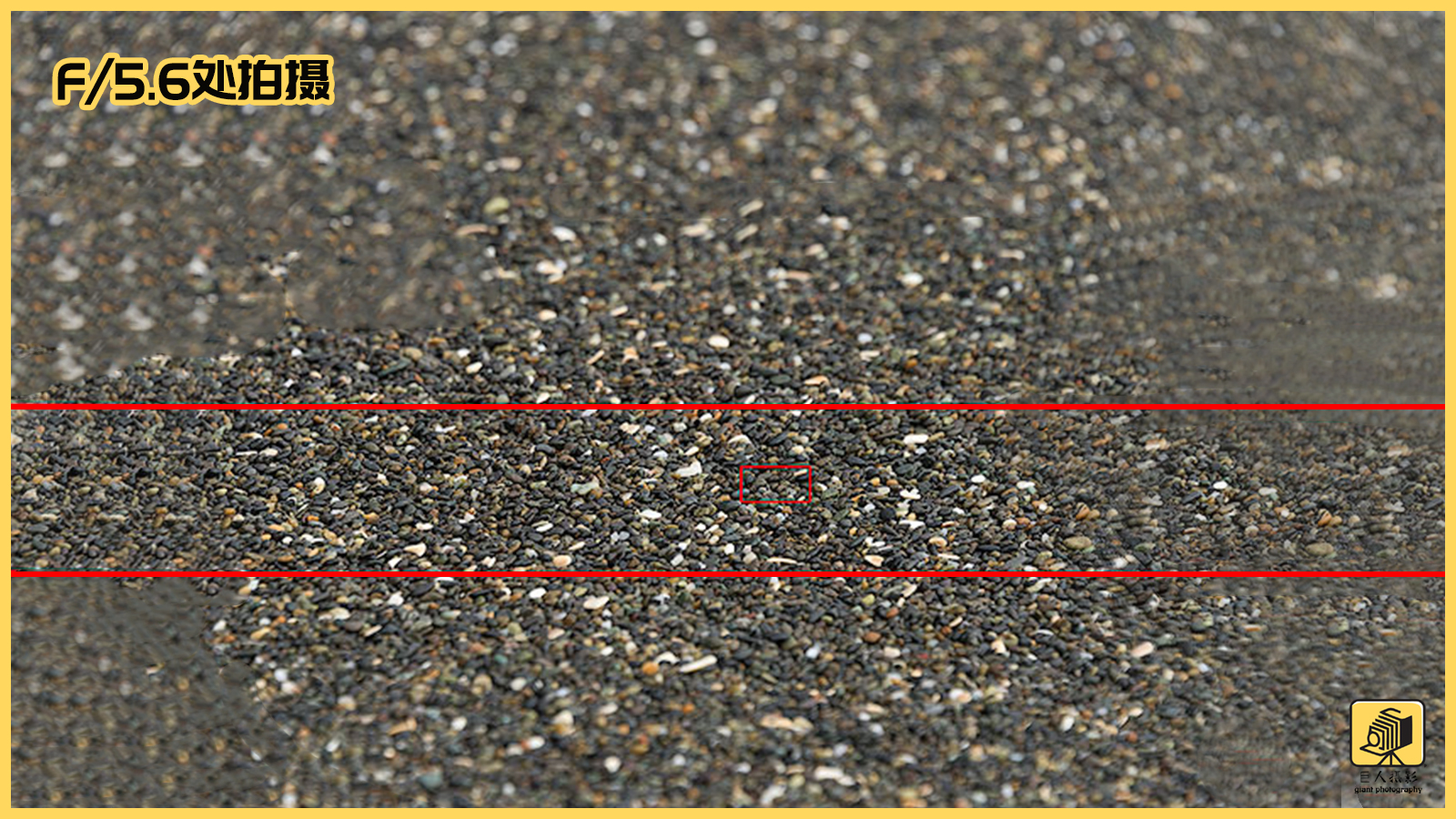 摄影基础光圈和景深的区别,摄影新手必须掌握的光圈用法