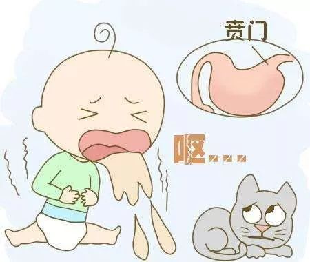 1岁半宝宝一直呕吐是什么原因,宝宝老是呕吐是什么原因1岁