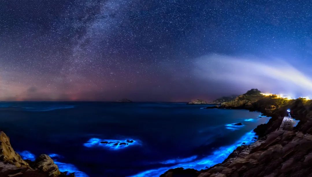 “蓝眼睛”迎来大爆发！现实版“奇幻漂流”，大海已经美成星河
