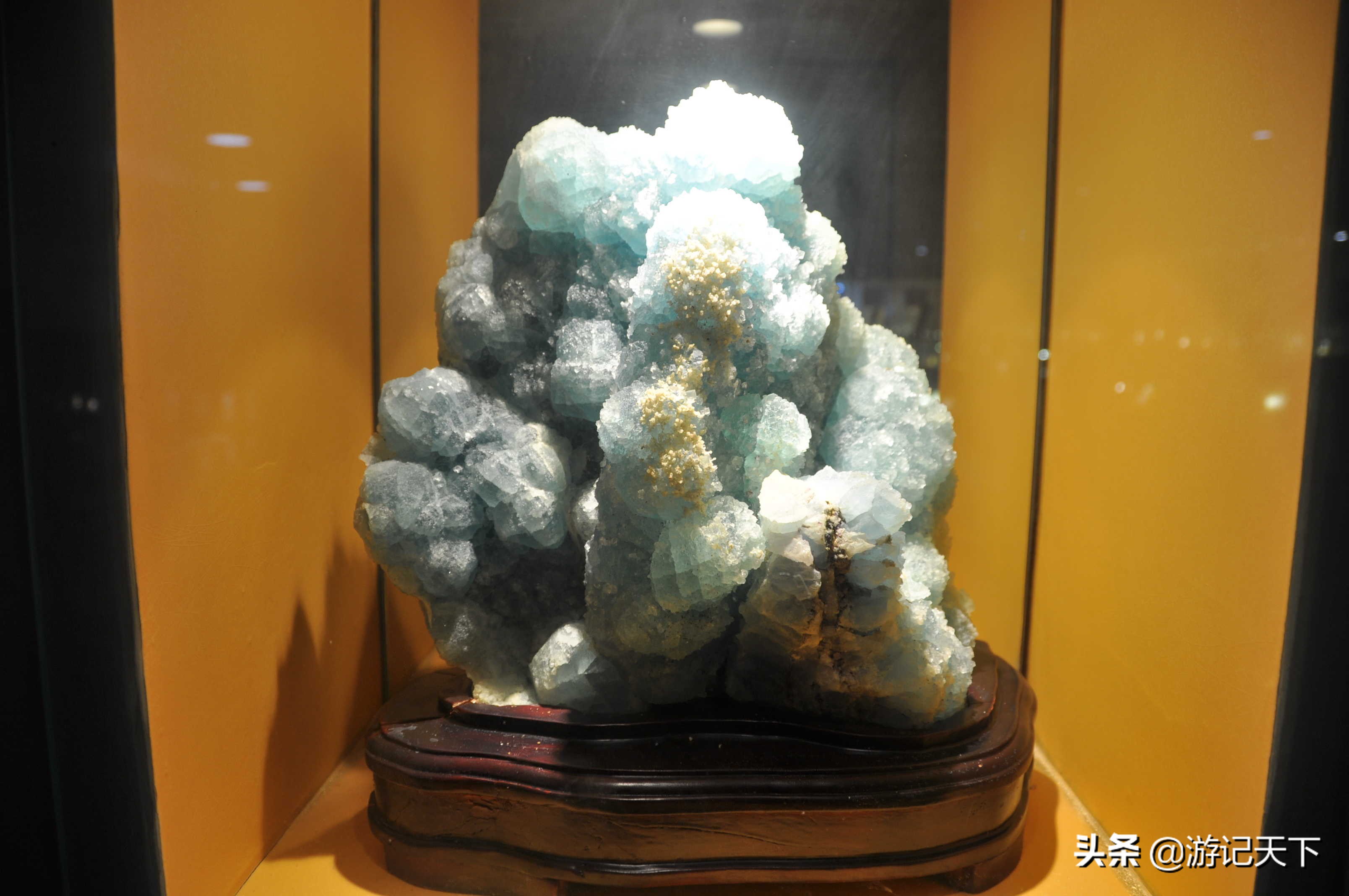 阿尼亚参观博物馆,上海地质科普馆游玩