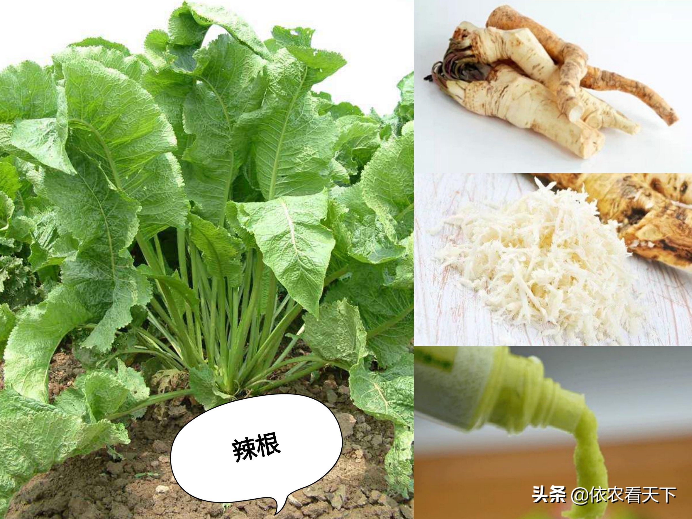 播放30秒带你了解奥特三兄弟,5分钟带你了解魔都三兄弟