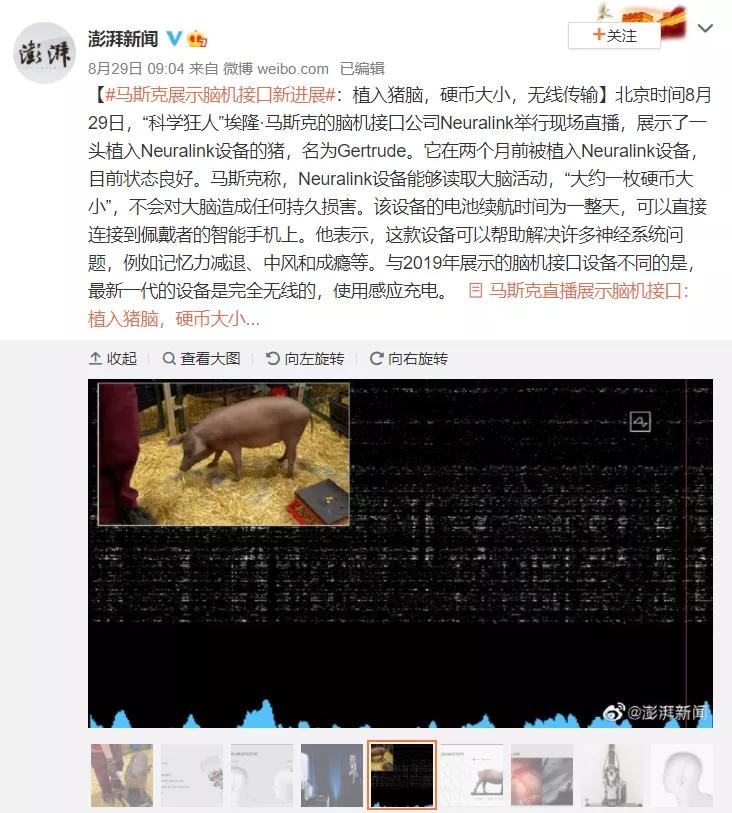 马斯克脑机评论,马斯克人脑接口让瘫痪的人站起来