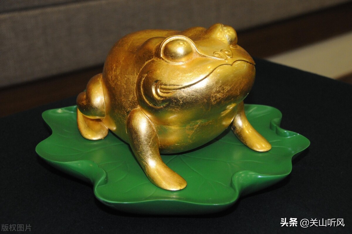 家里蟾蜍进门的真正预兆是什么,蟾蜍进屋是什么征兆