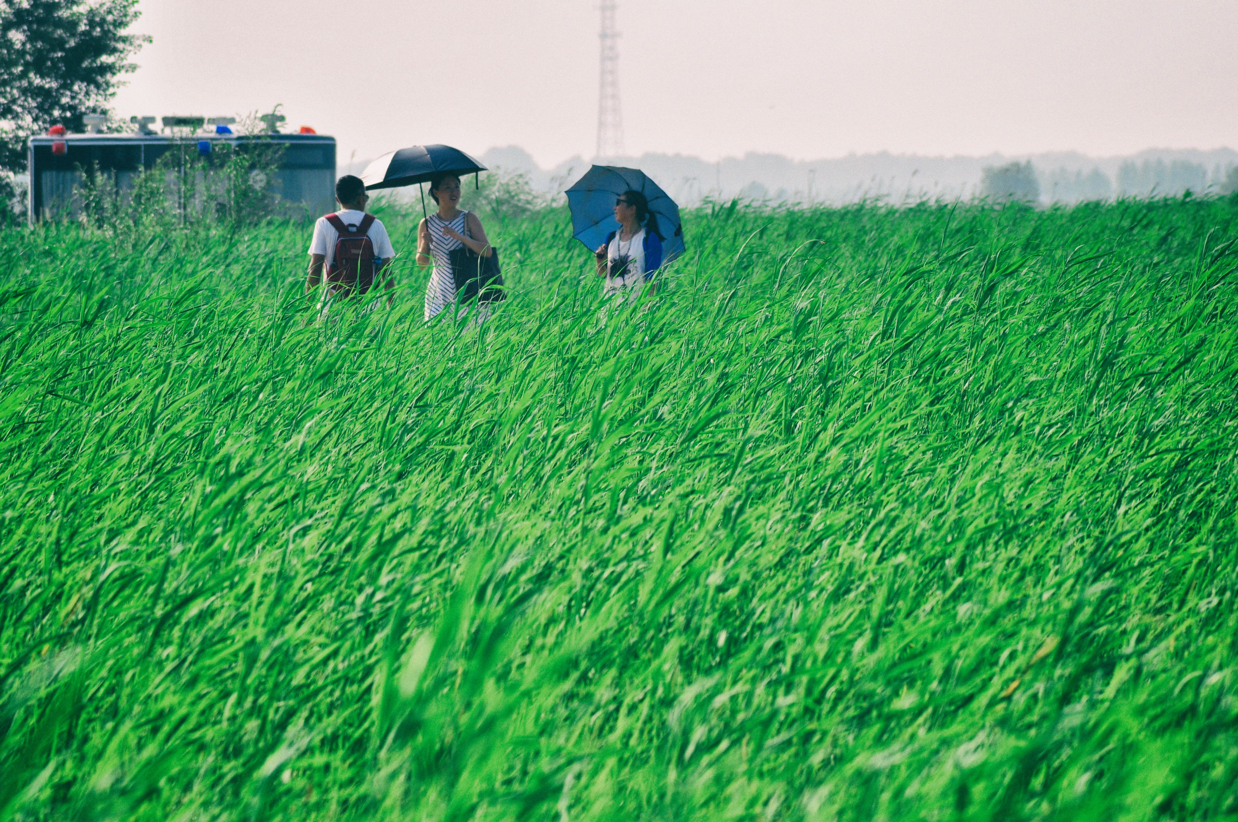 一次特别的东北旅行,历时18天的东北边境行