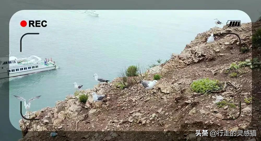 山东威海海驴岛攻略,山东海驴岛旅游攻略