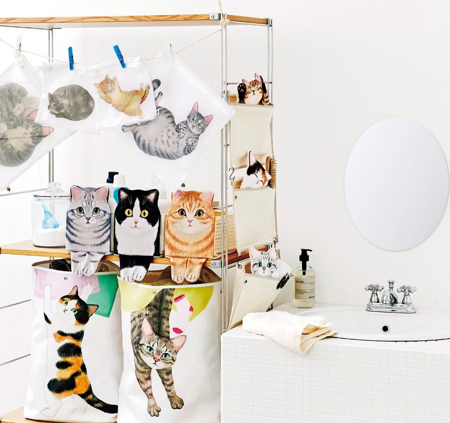 日本人又来骗猫奴们的钱啦!但我心甘情愿掏钱了!