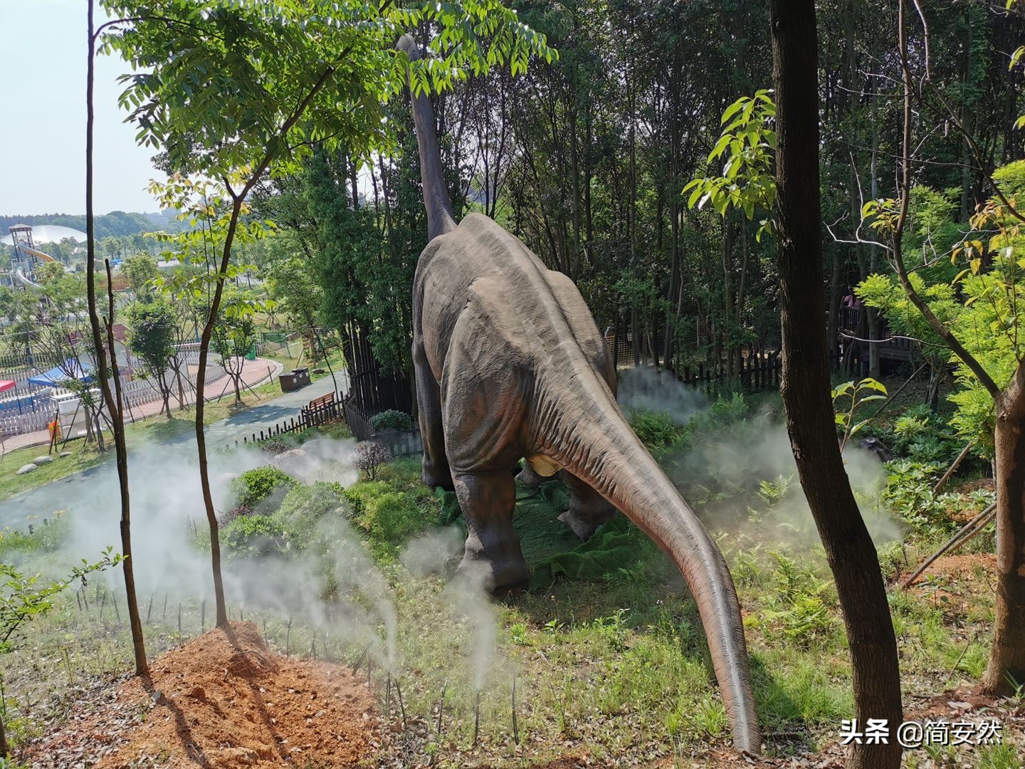 松鼠部落自驾游,松鼠部落一日游