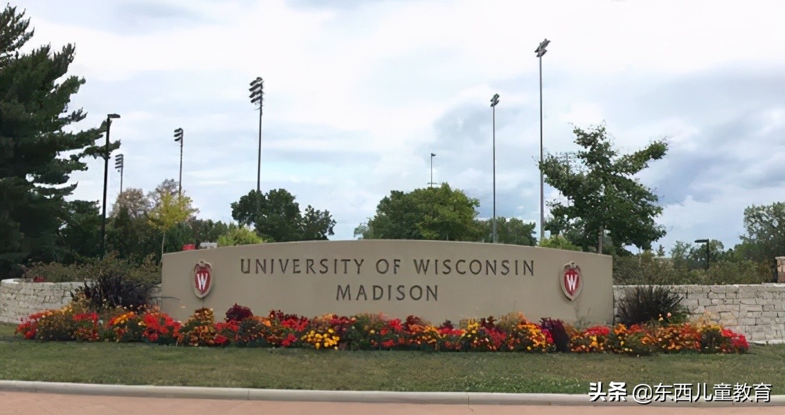 科学家发现喜欢恐龙的娃更聪明,为什么痴迷恐龙的孩子更聪明