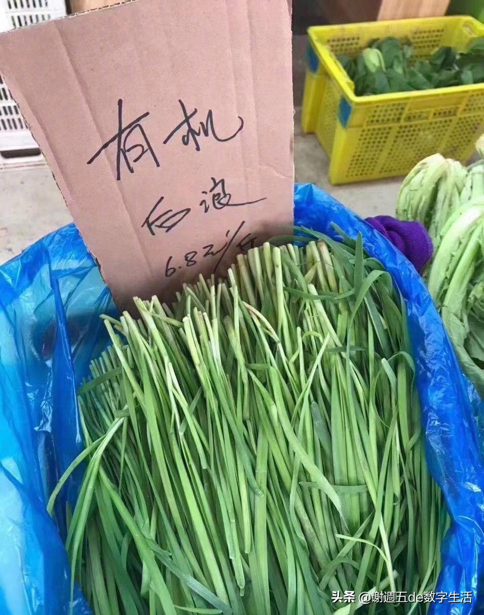 90后有机后浪的慵懒小窝，提升幸福感的5个生活小家电