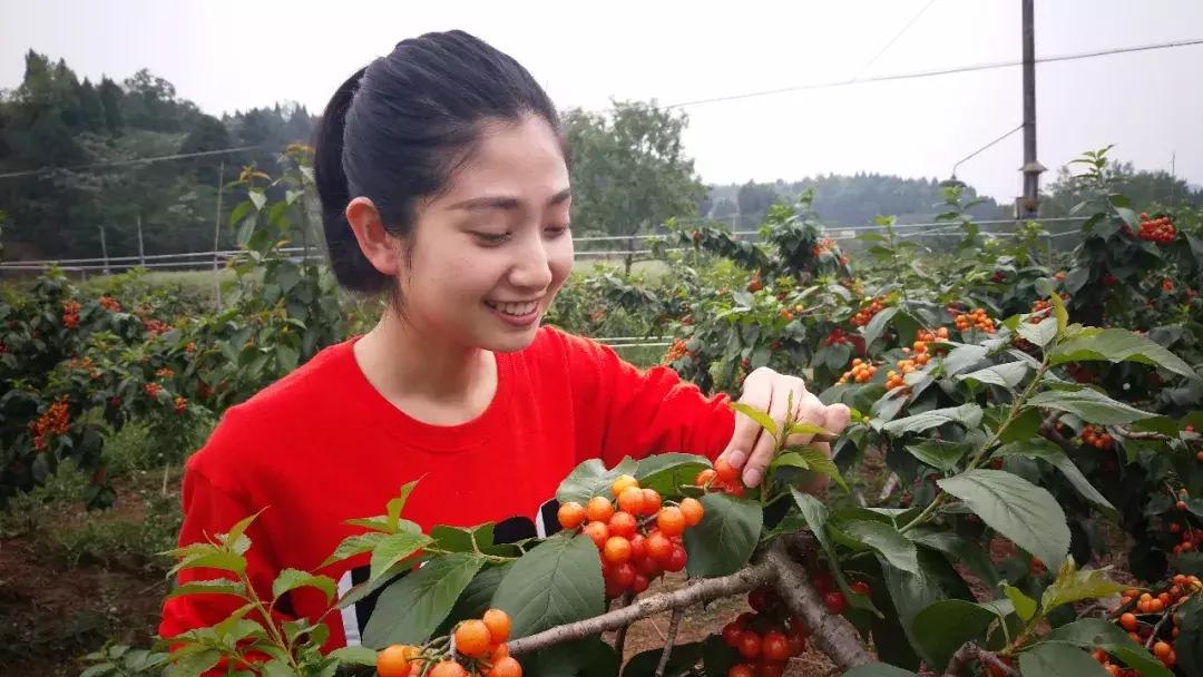 如何确认自己是不是纯四川人,怎么证明绵阳人