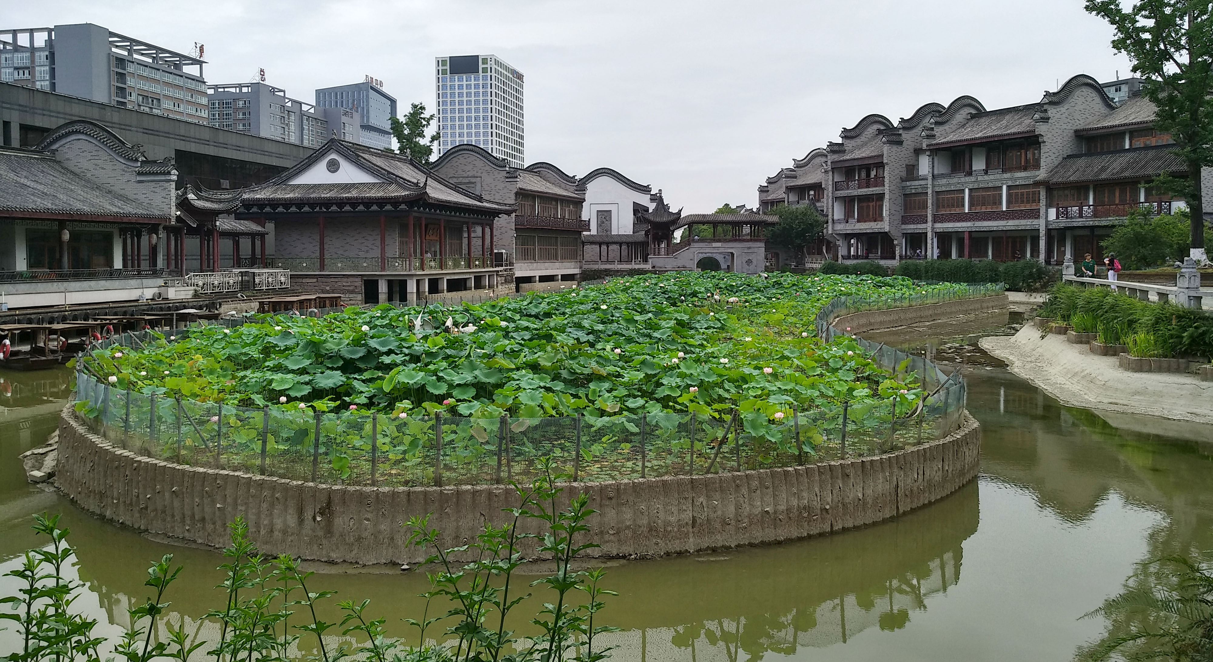 成都龙潭水乡最新消息,成都龙潭水乡别墅区