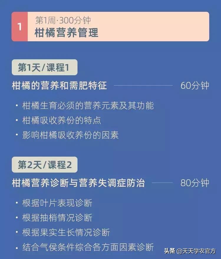 黄龙病使柑橘退化,柑橘黄龙病产业调整指导意见