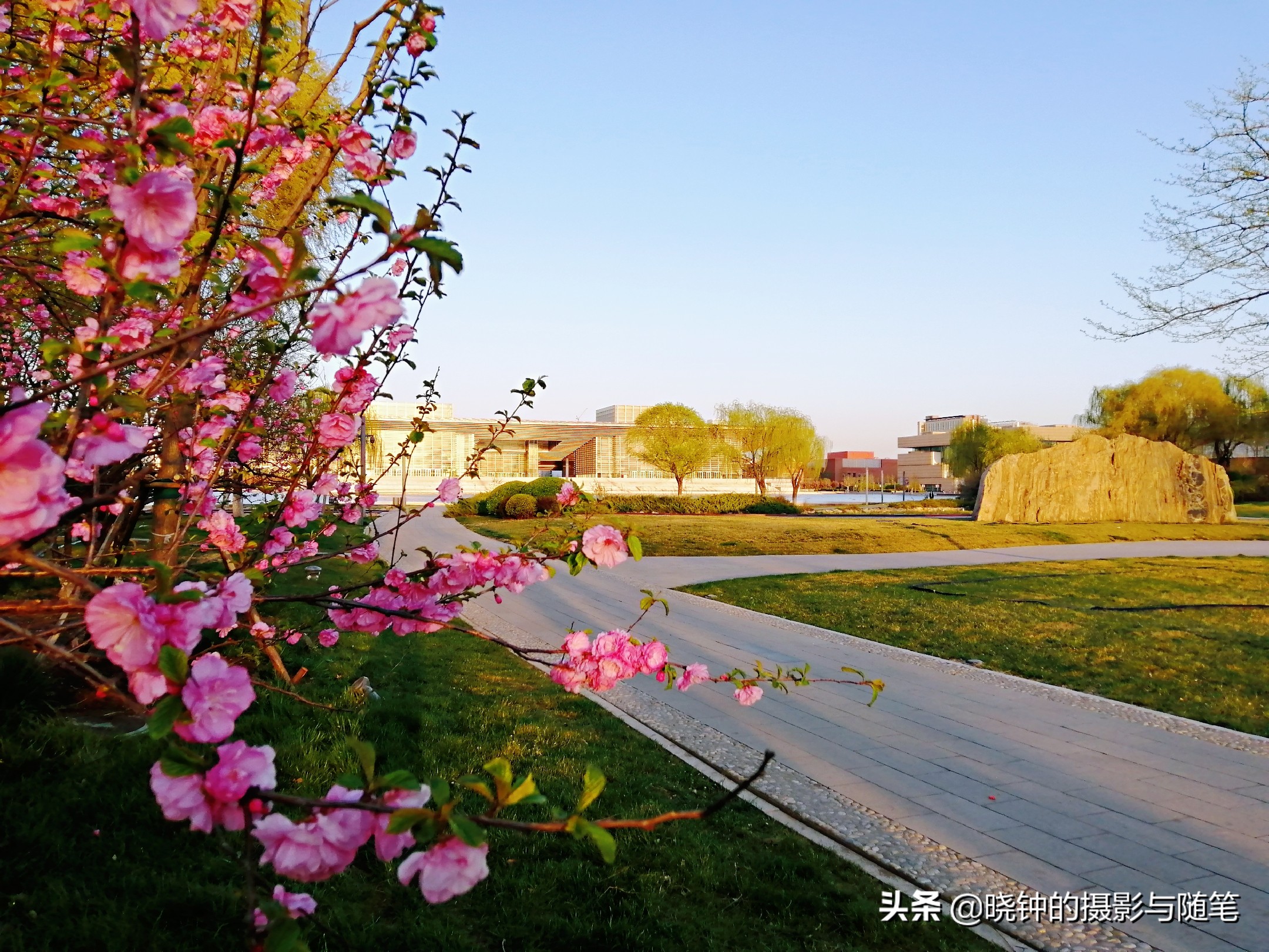 姹紫嫣红的天津文化中心，让人感受到这座城市的文化氛围与格调