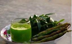 石斛与养生,药食同源话食疗