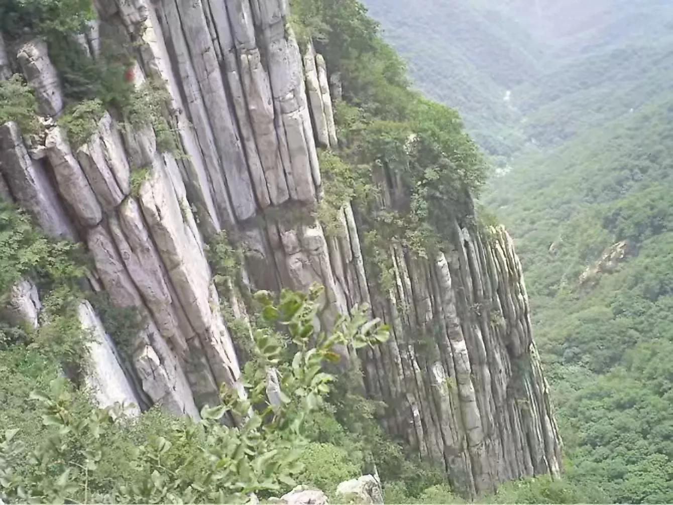 嵩山少林寺塔沟武校,嵩山少林寺文武学校