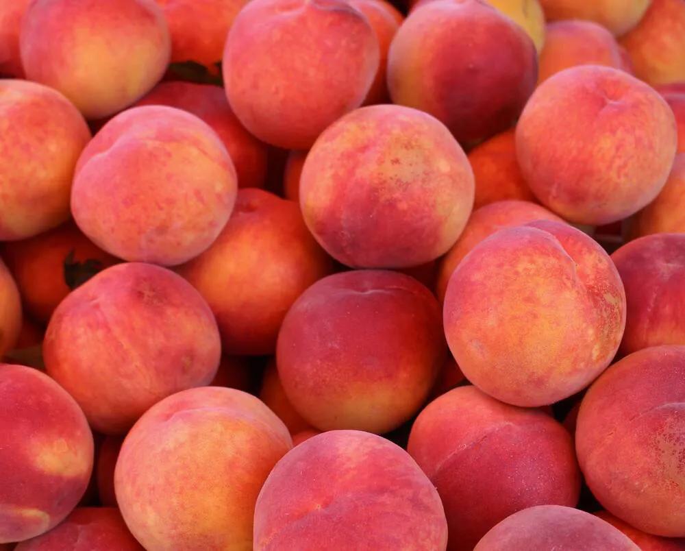 桃树花果期管理有哪些内容,桃树开花期如何管理