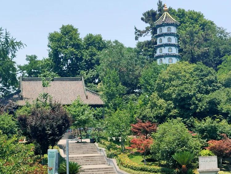 曾作为禁地，与外界隔绝二百六十多年的“玄武湖”，今日锣鼓喧天