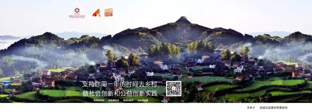 小鹰和小鹰的故事,小鹰故事