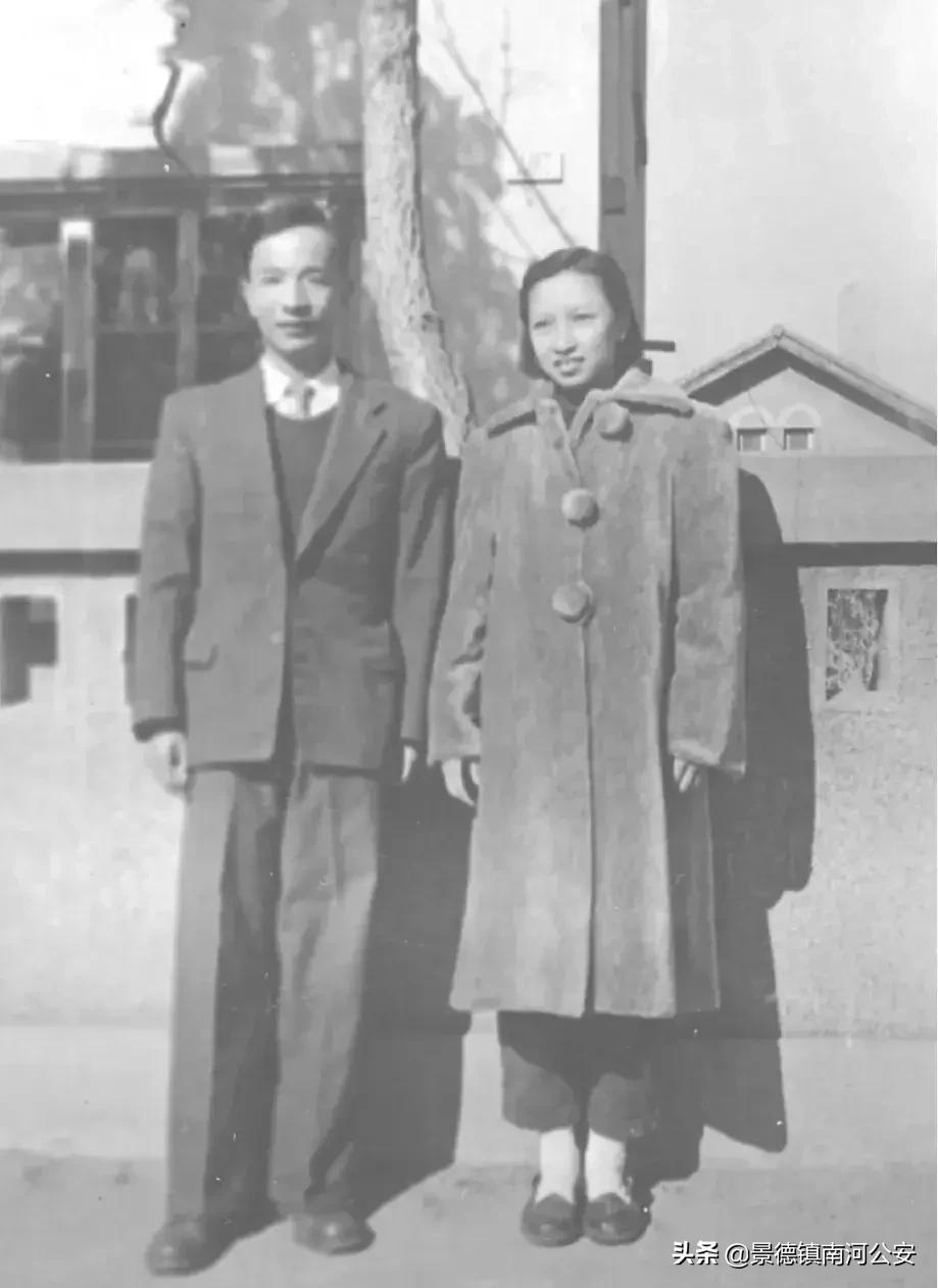 归去来兮1970,归去来兮2015