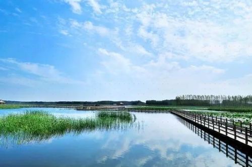 在山东秋天适合去哪儿旅游,山东秋季旅游去哪里好玩