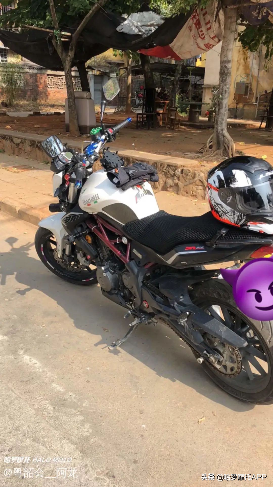 上路半年，换了4台车！从国产到大贸用车体验