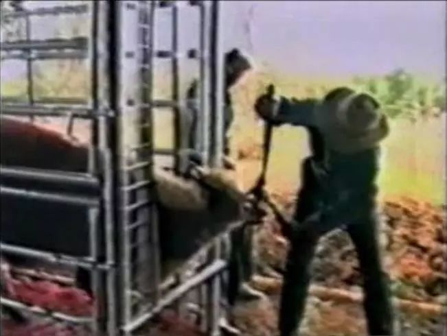 豆瓣9.1这部剧全程高能,豆瓣9.2分最好看的悬疑剧