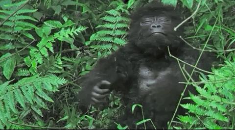 你在搞笑吗韩语,bbc搞笑视频