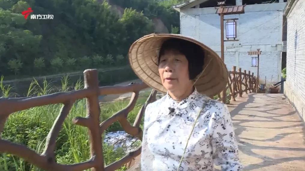 广西上品六堡茶,广西六堡茶业