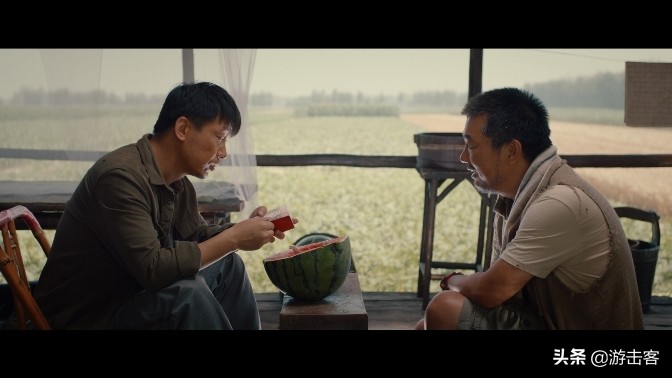 鱼胶种类有几种及辨别方法,野生鱼胶与养殖鱼胶的区别