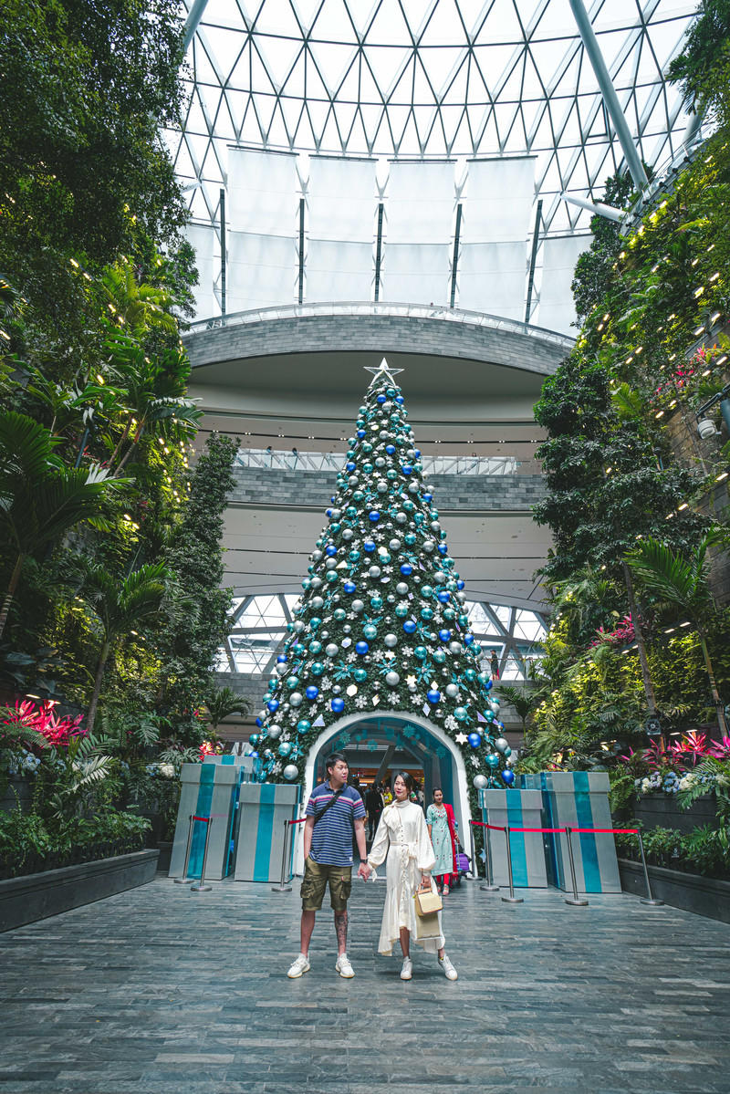 一人一猫环游,一人一猫旅行