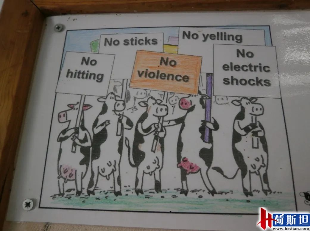 以色列实战经验:热应激管理4大关键点夏季疾病防控