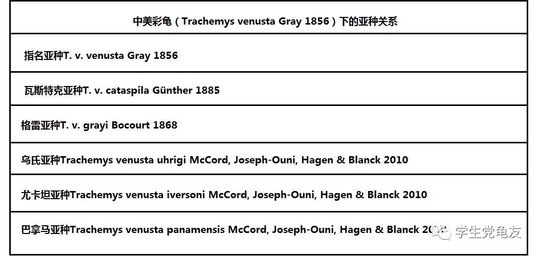 真假李逵——我们买到的“大河甜甜圈”是何许龟也?