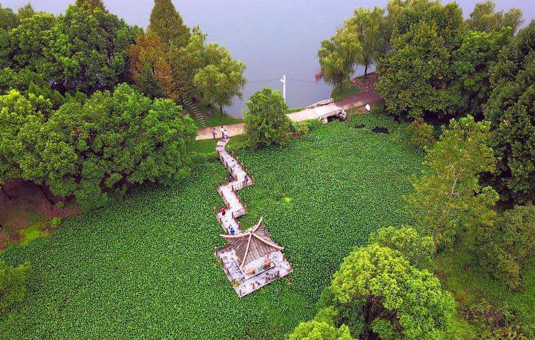 武汉市最热门的春游景点,2022武汉春游好去处