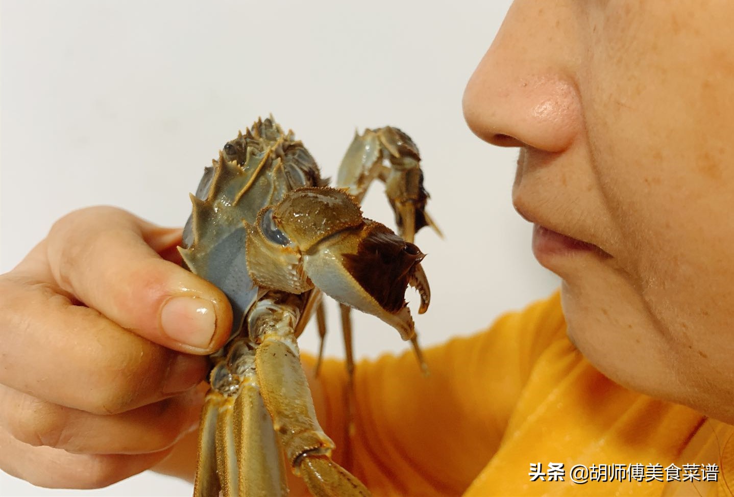螃蟹要买公的还是母的怎么挑,教你挑选螃蟹的8个技巧