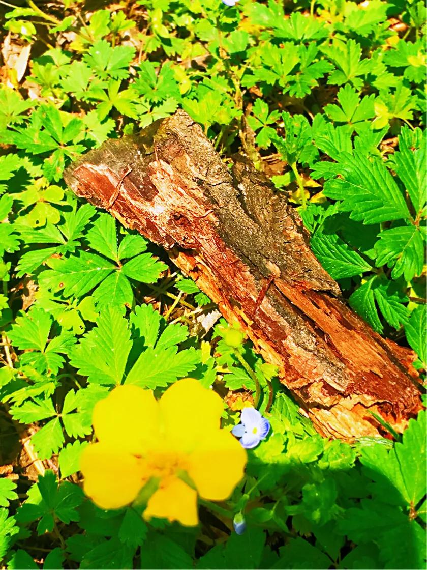 行走在路上的歌曲,行走在路上的真实图片