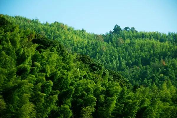 加拿大简介视频,加拿大大山简介