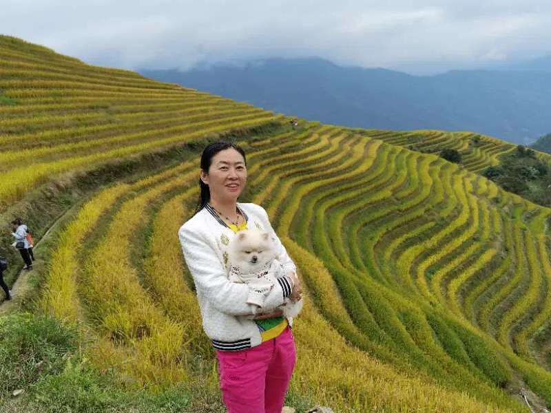 自驾游桂林龙脊梯田怎么玩的,自驾游桂林龙脊梯田怎样游