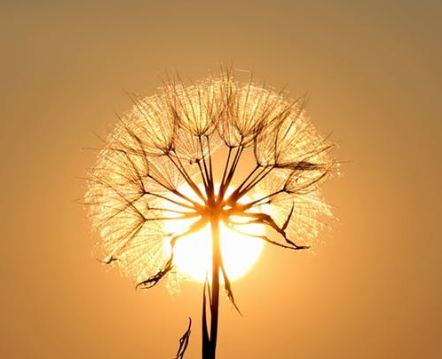 无需任何道具，手机这样轻轻一倒，大片随手拈来