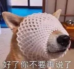 增肌粉喝了不消化吃什么药,增肌粉怎么喝才能一个月长胖