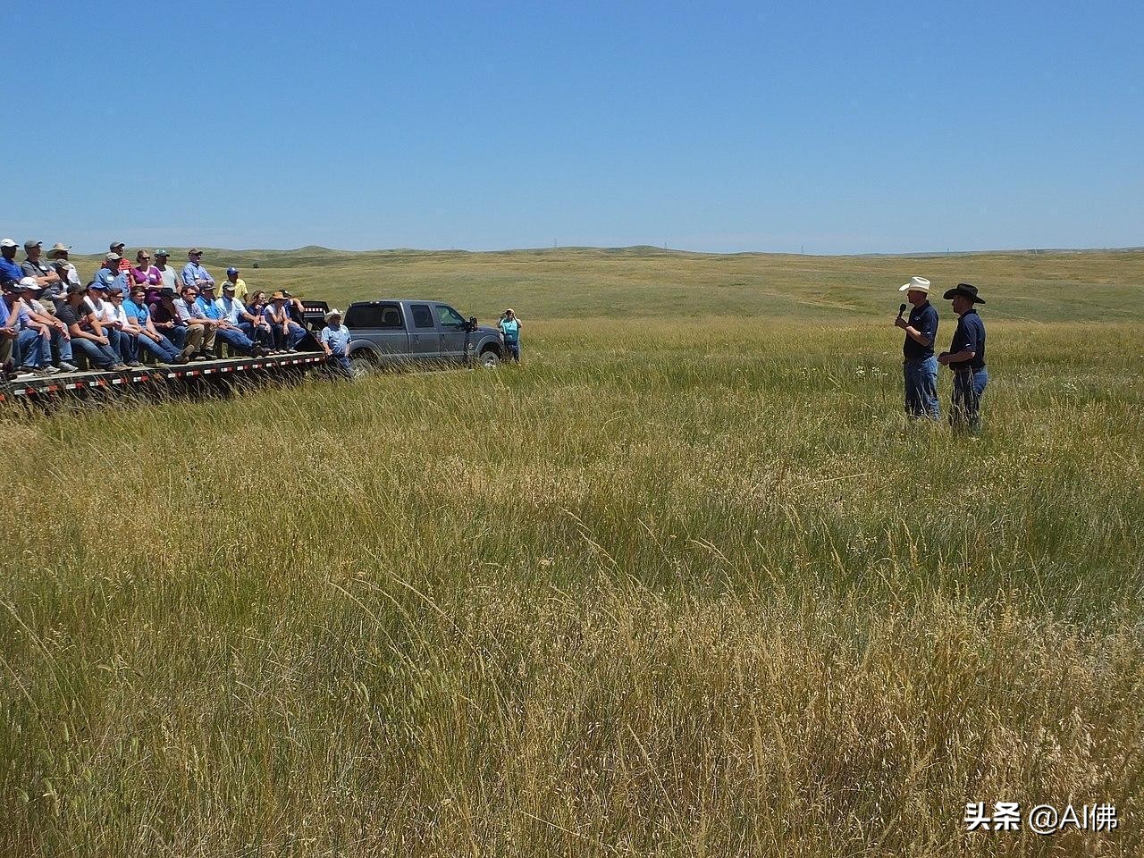 美国农田最多的州,美国哪个州的农场土地肥沃