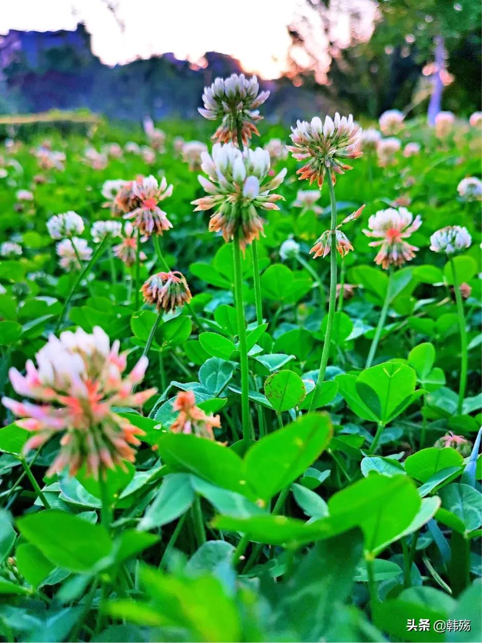 出游不必远行,出游不再烦恼