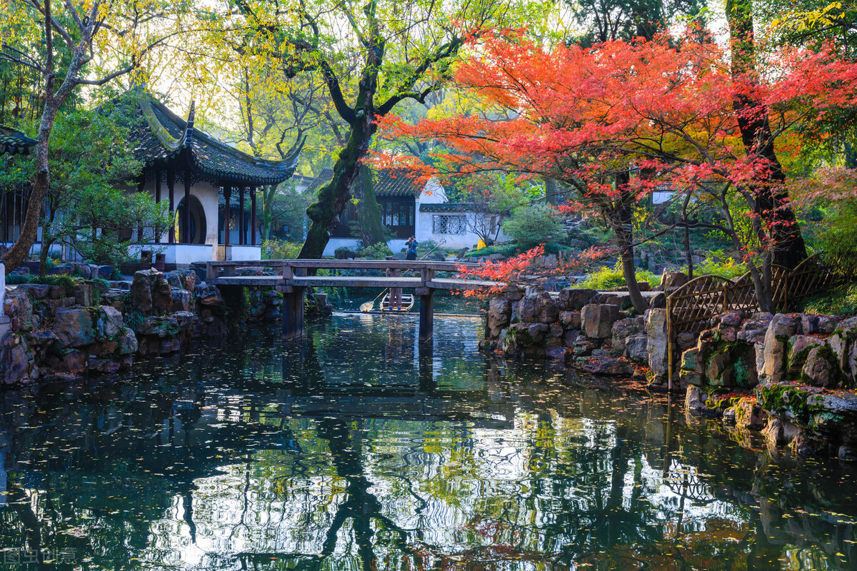 江南的秋天,温柔诗意,漫步姑苏城感受岁月静好,人间值得