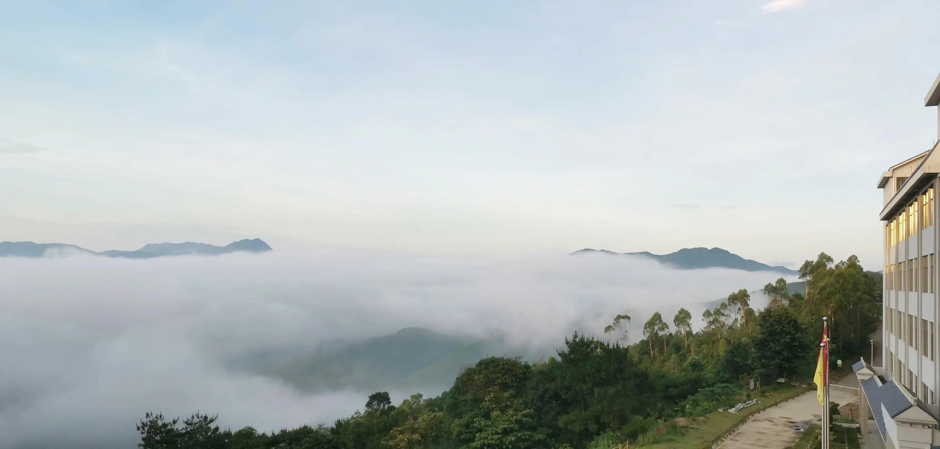 大自然生态农场有机蔬菜,炎炎夏日新鲜水果等你来品尝