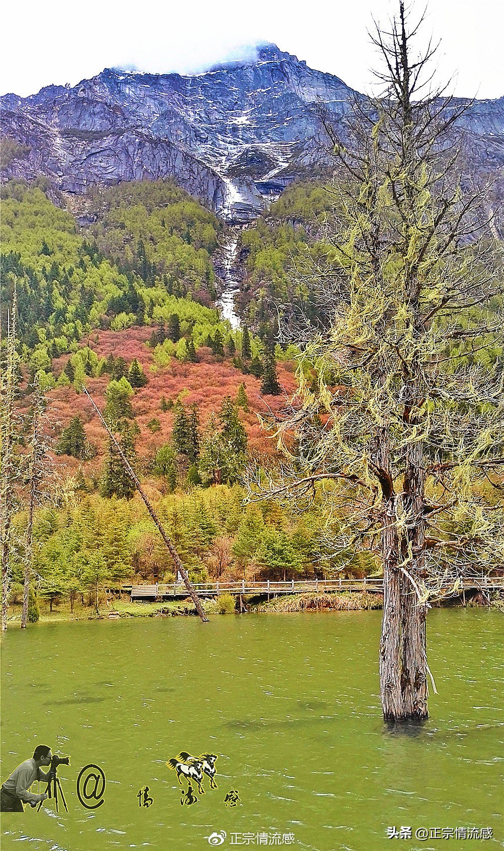 夜色成都串串爽,魅力小金苹果香#国庆中秋趣哪玩#