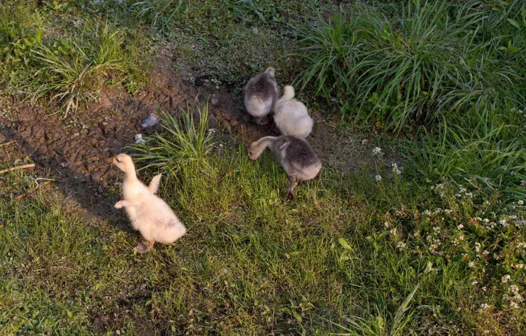 徒步浙东大峡谷,邂逅虎跳峡感受大自然