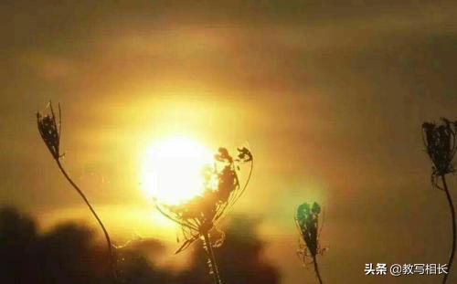 名著10道题,名著阅读计划答案